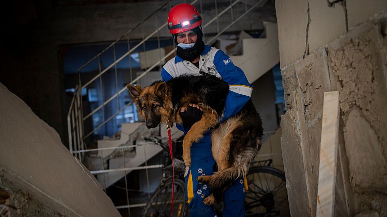 Depremde Haytap Çalışmaları